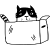 Katze