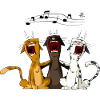 Singende Katzen