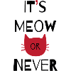 Katze