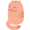 Katze