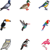 Vögel