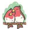Vögel
