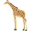 Wildtiere