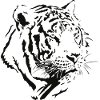 Wildtiere