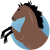 Pferde