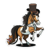 Dressurpferd