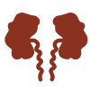 Kidney failure kidney failure