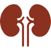 Kidney kidney cardiovascular metabolism
