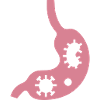 gastrointestinal flu gastrointestinal infection