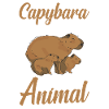 Capybara rodent capybara capybara