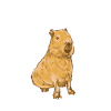 Capybara rongeur capybara capybara
