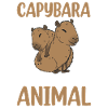 Capybara rodent capybara capybara