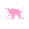 Teacup Pig Animal Lover