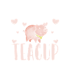Teacup Pig Piggy Breeder