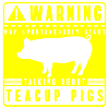 Teacup pig piggy pet