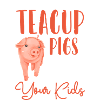Teacup Piggy Pig Piggy Breeder