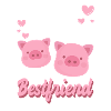 Teacup pig piglet cute
