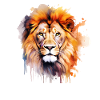 Aquarelle Lion Aquarelles Afrique