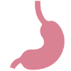 Magen Stomach Icon
