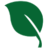 Leaf leaf