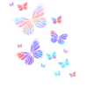 Butterfly Butterflies Butterfly Nature
