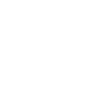 Année 1960
