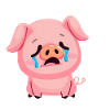 Pig cries sadly