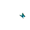 Vache avec papillon