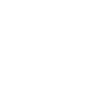 brigade evg