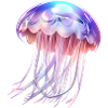 Méduse brillante
