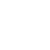 Web Developer Web Developer