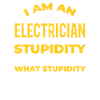 Electrician I can't fix stupidity