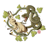 Scurry noback