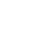 Deutsch Drahthaar Jagdgebrauchshund Jagdhunde