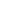 Original 100% Siegfried