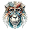 Kiju der Mandrill