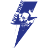 live wire skull blue