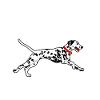 Gifts for Dalmatian Lovers