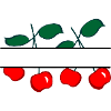 Cherry banner with red cherries