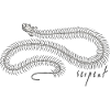 Serpent