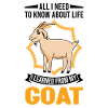 Chèvres Cadeau Chèvre Hôte Chèvre