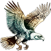 Flying Eagle