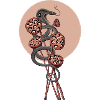 Trypophobia
