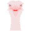 Oiseau autruche drôle