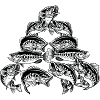Schönes Fisch-Design für Fischliebhaber