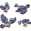 Cartoon Pigeons
