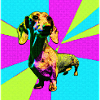Dachshund Pop Art