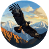 Andean Condor