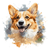 Corgi