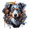 Australian Shepherd